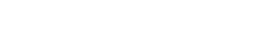 Vixelizer Media